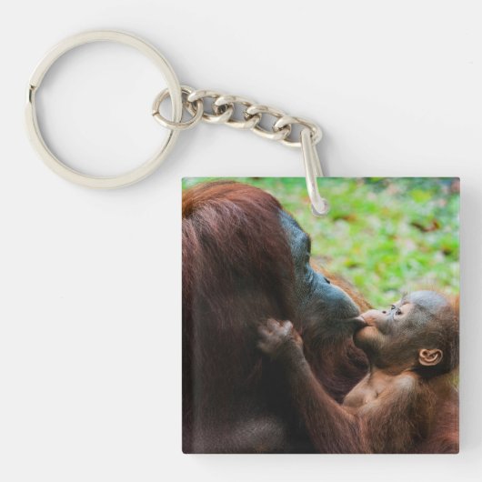 Porte-clés Mère orang-outan avec bébé (Devant)