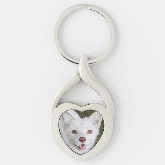 Porte-clés métallique en coco Wild Paws (Devant)