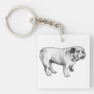 Porte-clés microdot poise, bouledogue