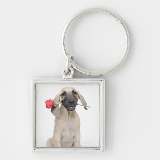 Porte-clés mignon, admiration, romance, amour, (Devant)