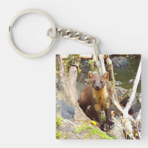 Porte-clés Mignon martre animale forestier sauvage au repos
