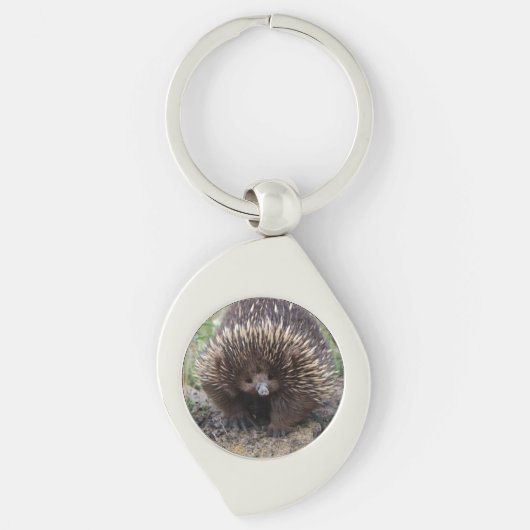Porte-clés Mignonne Echidna d'Australie (Devant)