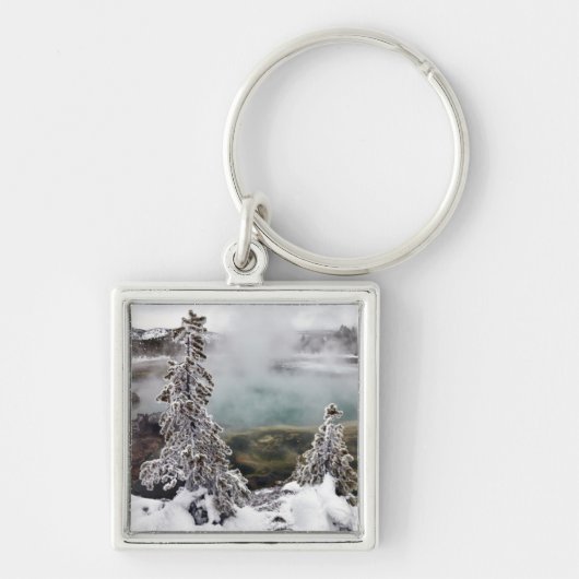 Porte-clés Milou Yellowstone (Devant)