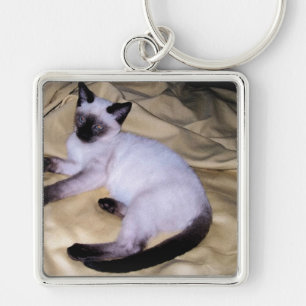 Porte-clés Minou mignon d'animal familier animal d'art de