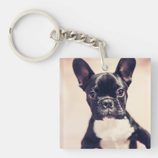 Porte-clés Minuscule Chiot noir et blanc (Devant)