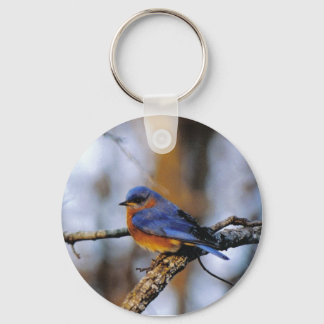 Porte-clés Missouris Bird porte - clé