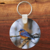 Porte-clés Missouris Bird porte - clé (Recto)