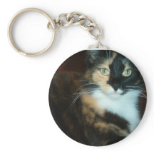 Mlle Calico Kitty
