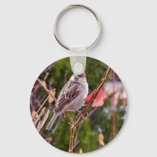 Porte-clés Moineau de Chambre
