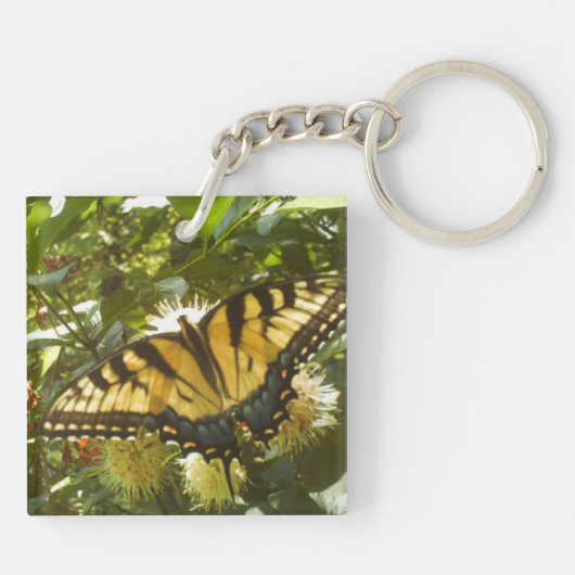 Porte-clés Monarque jaune (Dos)