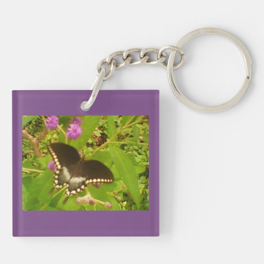 Porte-clés Monarque noir violet (Dos)