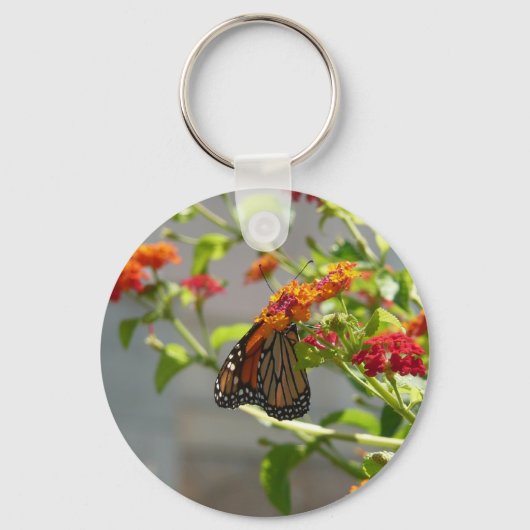 Porte-clés Monarque papillon sur Buddleia rouge (Recto)
