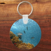 Porte-clés Monde sous-marin (Recto)