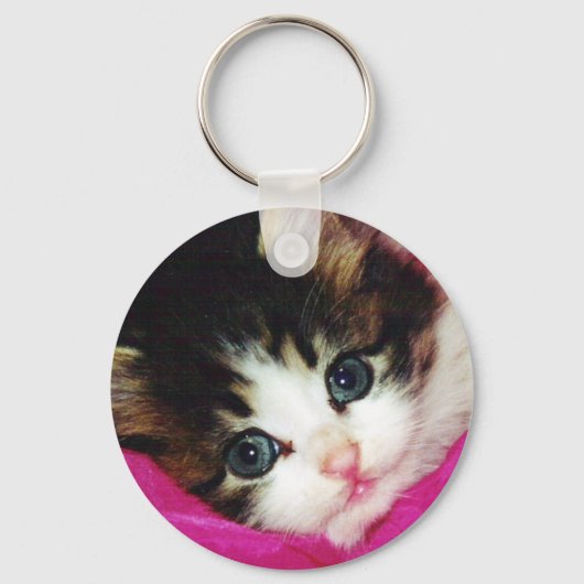 Porte-clés Mondes Cutest Kitten (Recto)