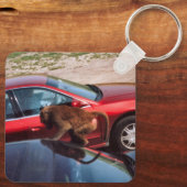 Porte-clés Monkey Business (Verso)
