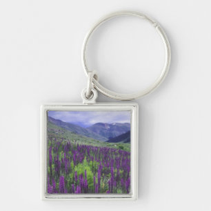Porte-clés Montagnes et fleurs sauvages dans un pré alpin, 2