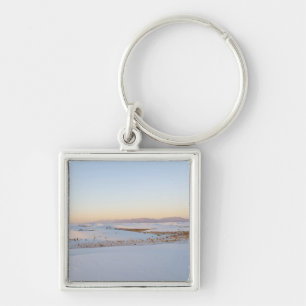 Porte-clés Monument national de White Sands, Dunes transversa