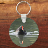 Porte-clés Moorhen et réflexion (Recto)