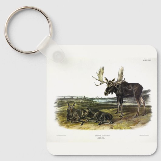 Porte-clés Moose Deer (Moose - Alces alces) par Audubon (Recto)