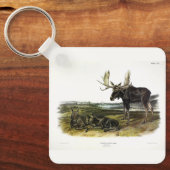 Porte-clés Moose Deer (Moose - Alces alces) par Audubon (Recto)