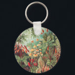Porte-clés Mosses, Muscinae Laubmoose par Ernst Haeckel<br><div class="desc">Muscinae Laubmoose par Ernst Haeckel Porte - clé Vintage Plante</div>