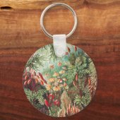 Porte-clés Mosses, Muscinae Laubmoose par Ernst Haeckel (Recto)