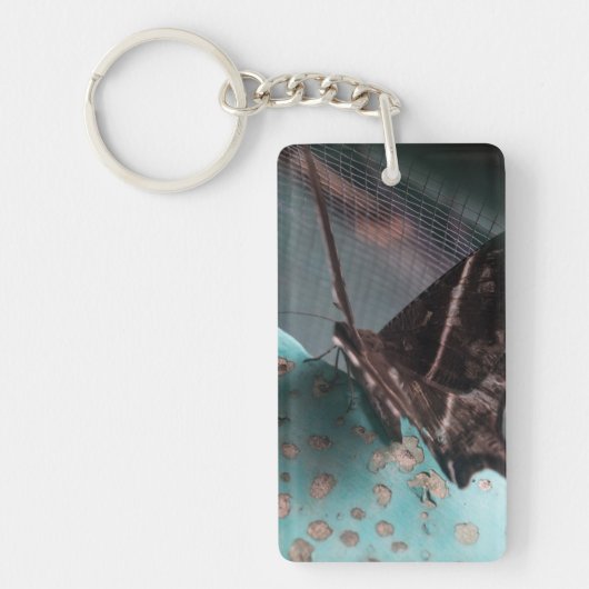 Porte-clés Moth papillon tropical (Devant)