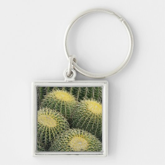 Porte-clés Motif de cactus (Devant)