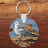 Porte-clés Mouette blanche - Porte - clé (Recto)