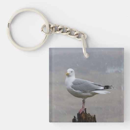 Porte-clés Mouette Élégante Debout Unique Côtière (Devant)