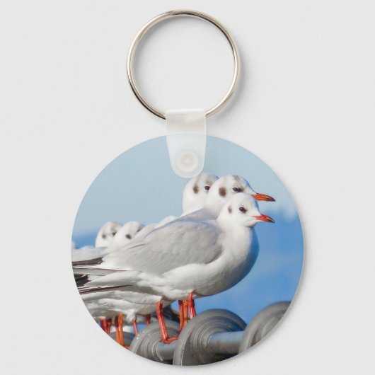 Porte-clés Mouette mignonne Oiseau (Recto)