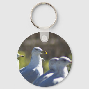 Porte-clés Mouette sur rail