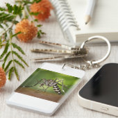 Porte-clés Moustique tigre (Devant droit)