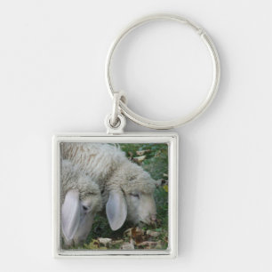 Porte-clés mouton alpin aux oreilles tombantes