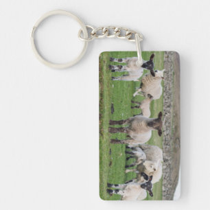 Porte-clés Mouton des Shetland