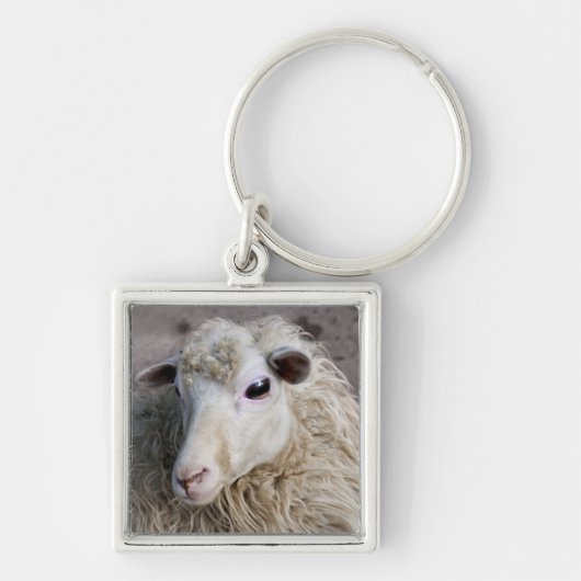 Porte-clés Mouton drôle (Devant)