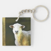Porte-clés Mouton pacifique (Dos)