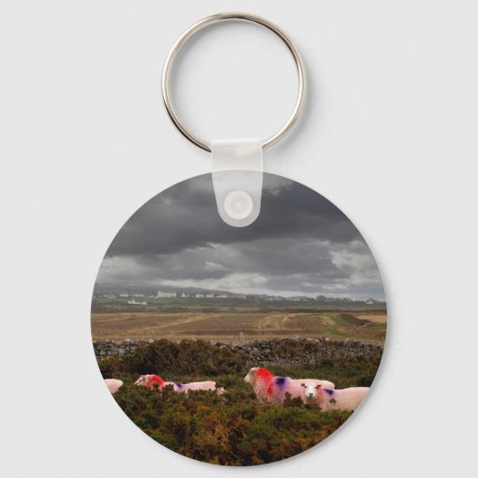 Porte-clés Moutons colorés (Recto)