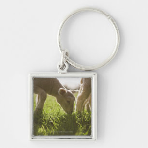 Porte-clés Moutons frôlant dans l'herbe