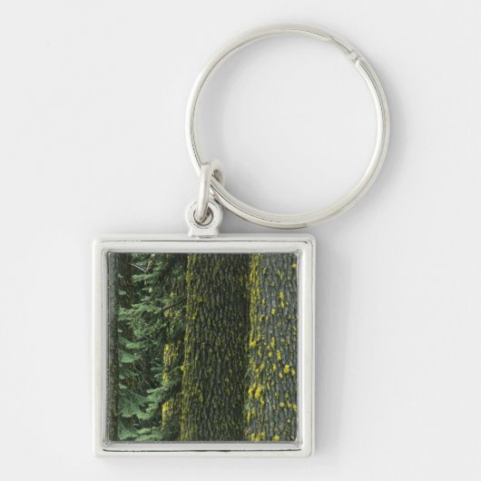Porte-clés Mt. Ashland, forêt nationale de Rogue River, (Devant)