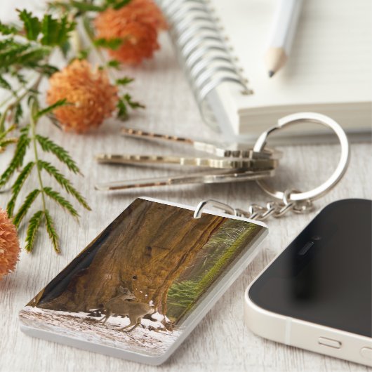 Porte-clés Mule Deer (Devant droit)