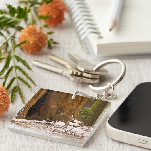 Porte-clés Mule Deer (Devant Droit)