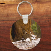 Porte-clés Mule Deer (Recto)