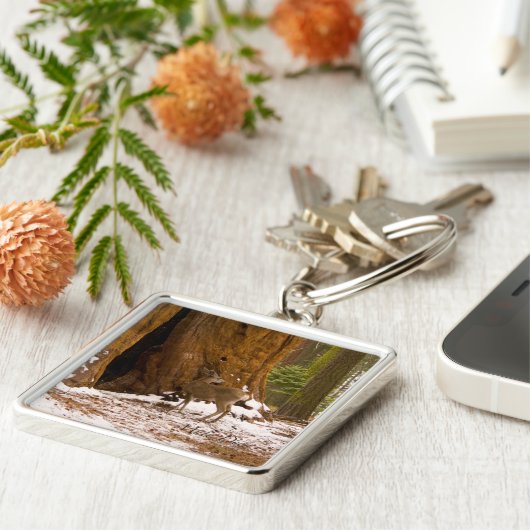 Porte-clés Mule Deer (Côté)