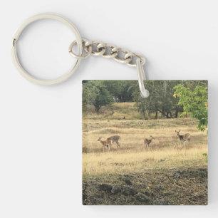 Porte-clés Mule Deer in a Field, Joseph, Oregon