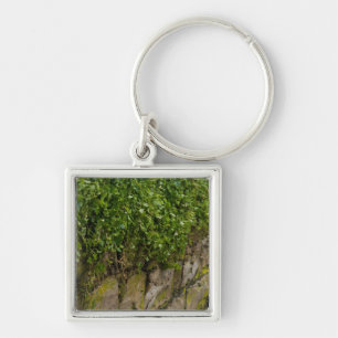 Porte-clés Mur D'Ivy