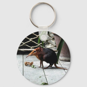 Porte-clés Musaraigne noire et Rufous d'éléphant