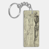 Porte-clés Muscles humains anatomiques de Léonard de Vinci (Devant gauche)