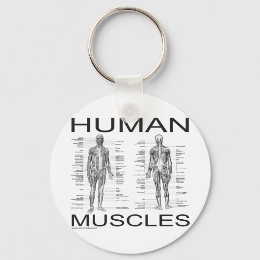 Porte-clés Muscles humains et anatomie (Recto)