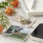 Porte-clés Muscovy Canards Et Canards Porte - clés (Devant Droit)